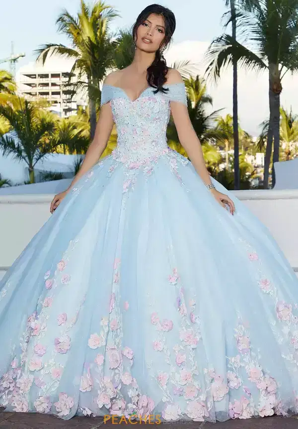 Quinceañera ball gown inspiration for our story
